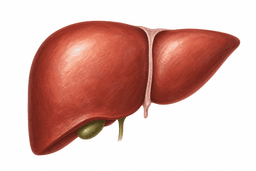 Hepatologie