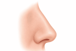 تجميل الأنف