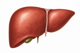 Hepatology