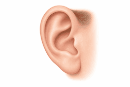 Ear surgery