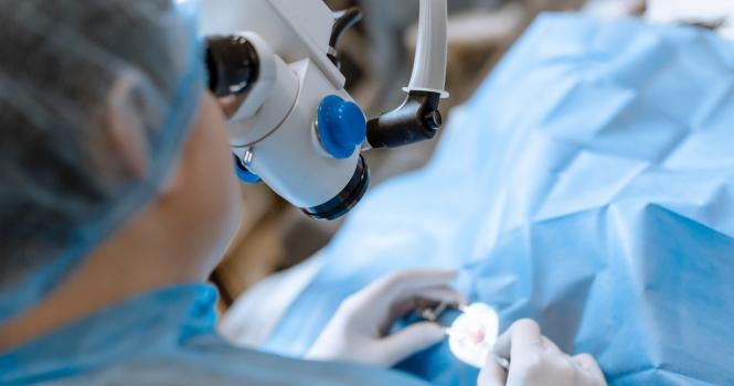 Cataract Surgery