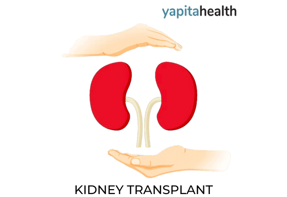 Kidney Transplant