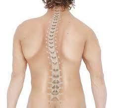 Scoliosis Spine Surgery at Saudi German, Dubai, UAE