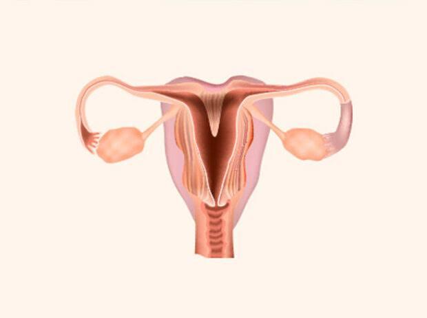 Vaginoplasty with Hymenoplasty Treatment at Paras Hospital