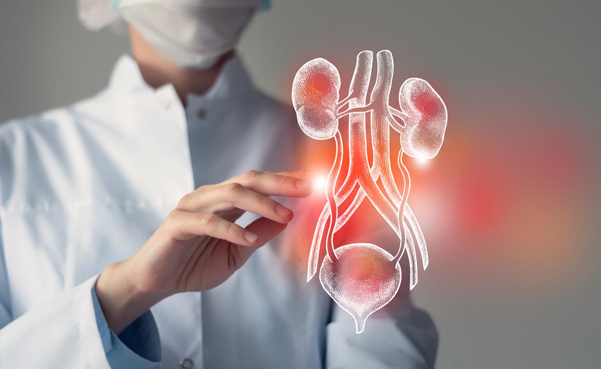 Kidney Transplant at Max, New Delhi, India