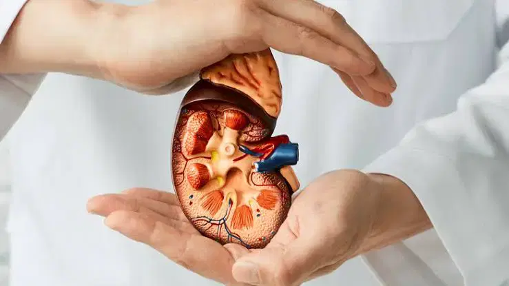 Kidney Transplant at Fortis Memorial Research Institute, Gurgaon, India